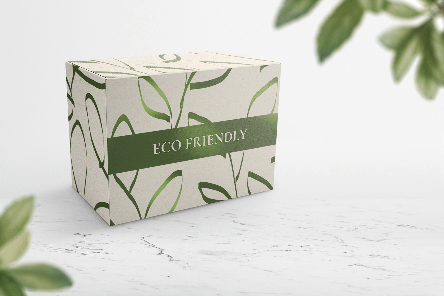 eco packaging